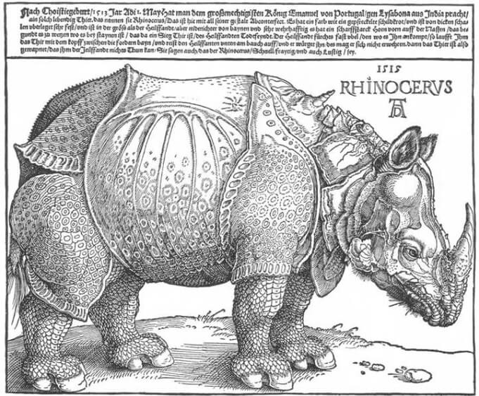 durer rhino painting